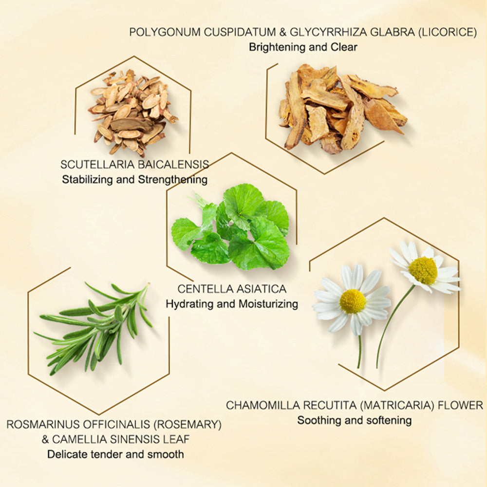 - Acetyl Hexapeptide-8：Anti-Aging And Soothing,Improve Skin Rejuvenation And Circulation，Brightening And Elasticity - Polygonum Cuspidatum &Glycyrrhiza Glabra (Licorice):Brightening And Clear - Scutellaria Baicalensis:Stabilizing And Strengthening - Centella Asiatica；Hydrating And Moisturizing/Chamomilla Recutita (Matricaria) Flower:Soothing And Softening - Rosmarinus Officinalis (Rosemary) & Camellia Sinensis Leaf:Delicate Tender And Smooth